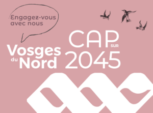 affiche pour le cap 2045