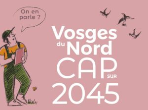affiche pour le cap 2045