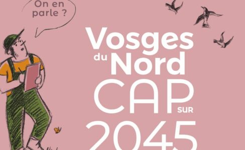 Cap sur 2045, votre avis nous intéresse !