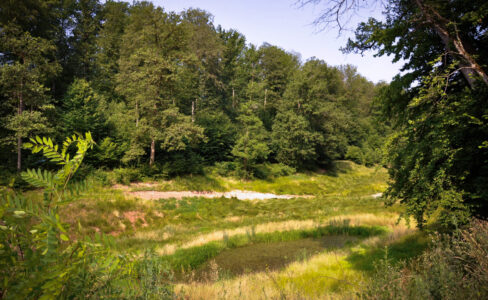 photo d'une prairie