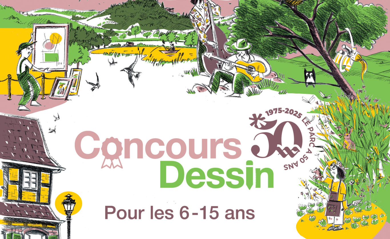 concours dessins 50 ans